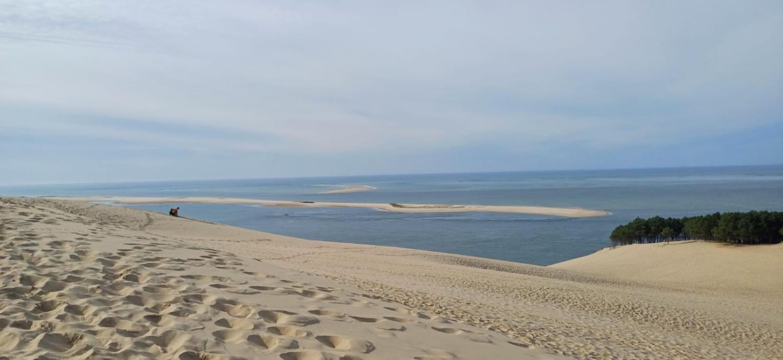 Chambres Du Petit Bonheur Biscarrosse Bagian luar foto